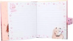 Miss Melody Dagboek Met Code En Muziek -Kantoor Artikelen product 1030811