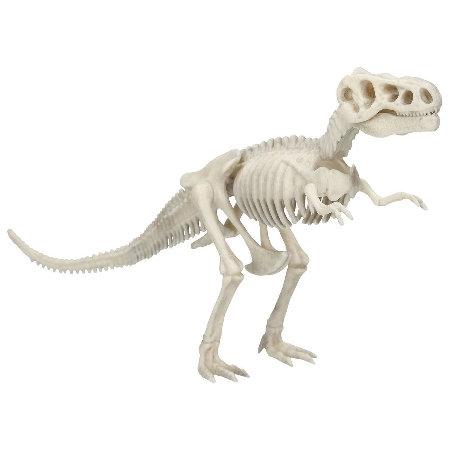 Dino World Opgravingsset 5 Dino World Opgravingsset - Afbeelding 5